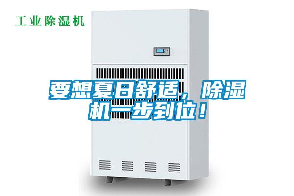 要想夏日舒適，除濕機一步到位！