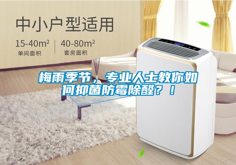 梅雨季節(jié)，專業(yè)人士教你如何抑菌防霉除醛？！