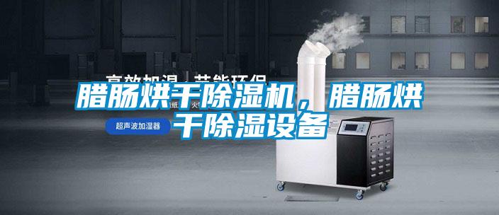 臘腸烘干除濕機(jī)，臘腸烘干除濕設(shè)備