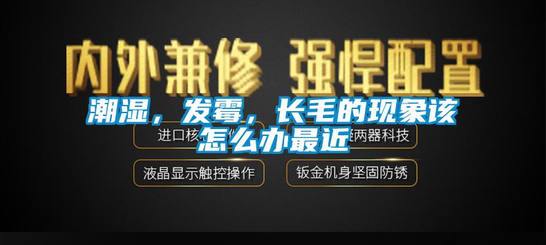 潮濕，發(fā)霉，長(zhǎng)毛的現(xiàn)象該怎么辦最近