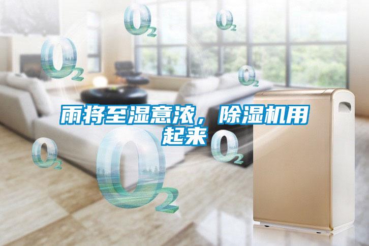 雨將至濕意濃，除濕機用起來