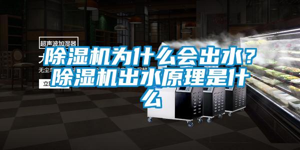 除濕機為什么會出水？除濕機出水原理是什么