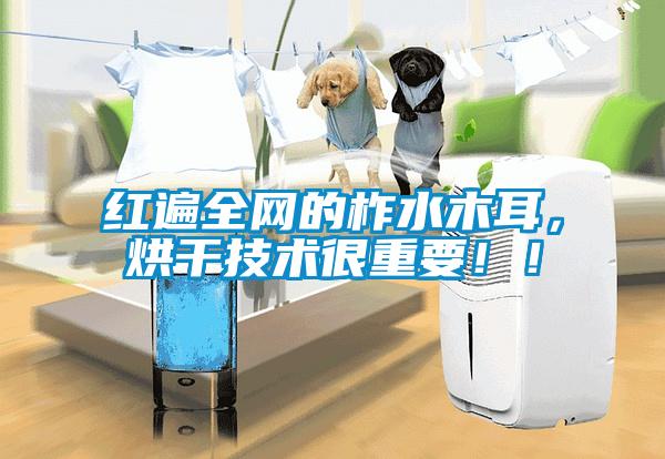 紅遍全網(wǎng)的柞水木耳，烘干技術(shù)很重要??！