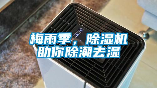 梅雨季，除濕機助你除潮去濕