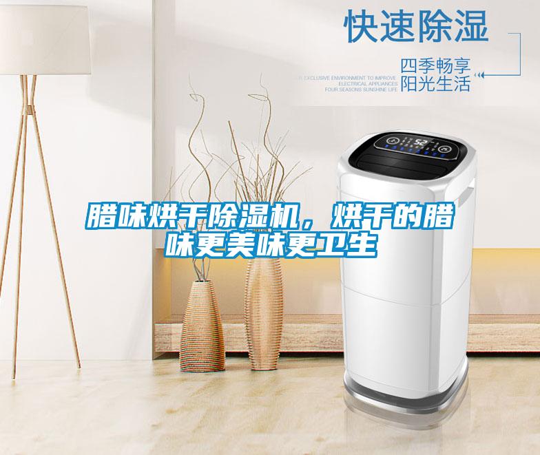 臘味烘干除濕機，烘干的臘味更美味更衛(wèi)生