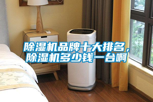 除濕機(jī)品牌十大排名，除濕機(jī)多少錢一臺啊