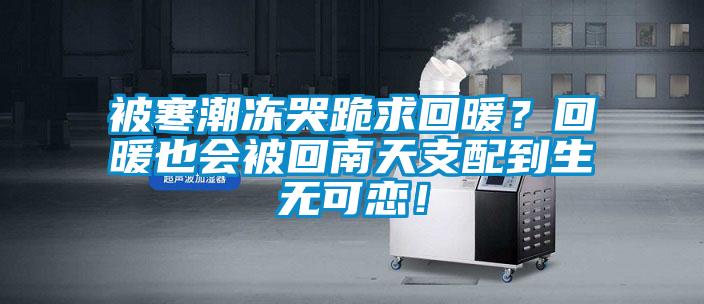 被寒潮凍哭跪求回暖？回暖也會被回南天支配到生無可戀！