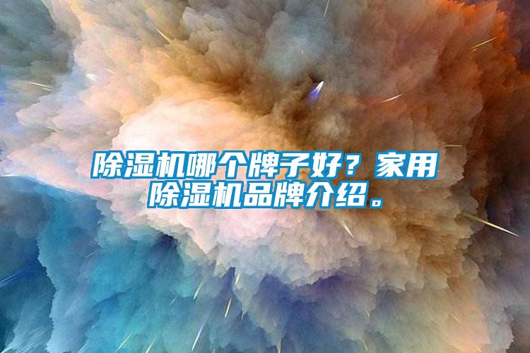 除濕機哪個牌子好？家用除濕機品牌介紹。