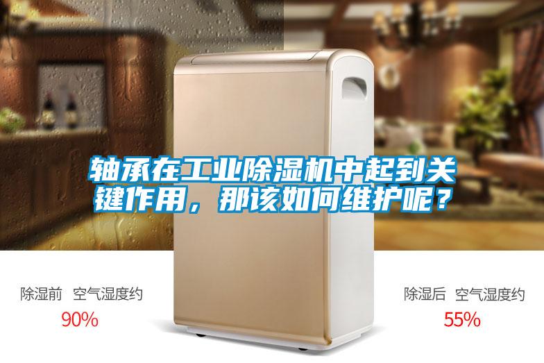 軸承在工業(yè)除濕機中起到關(guān)鍵作用，那該如何維護呢？