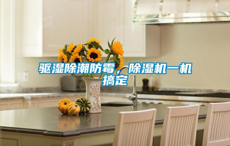 驅(qū)濕除潮防霉，除濕機一機搞定