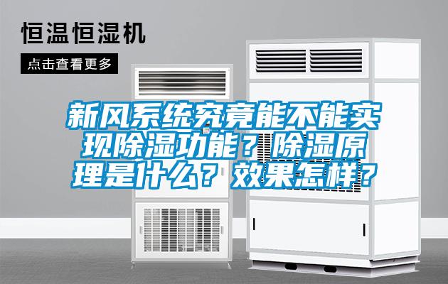 新風(fēng)系統(tǒng)究竟能不能實(shí)現(xiàn)除濕功能？除濕原理是什么？效果怎樣？