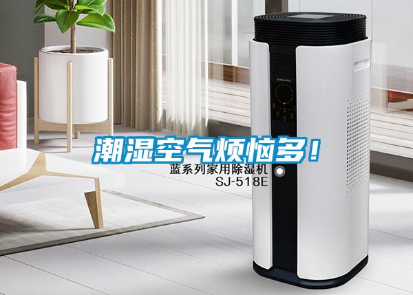 潮濕空氣煩惱多！