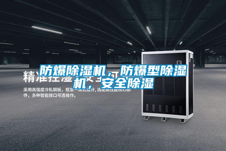 防爆除濕機(jī)，防爆型除濕機(jī)，安全除濕