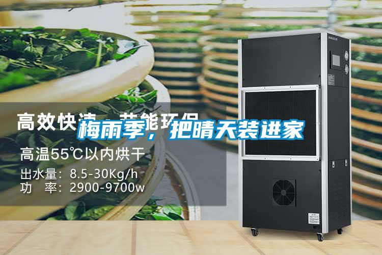 梅雨季，把晴天裝進家