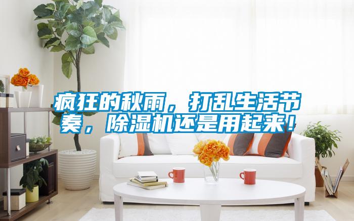 瘋狂的秋雨，打亂生活節(jié)奏，除濕機(jī)還是用起來！