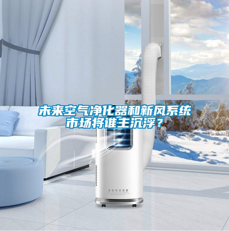 未來空氣凈化器和新風(fēng)系統(tǒng)市場將誰主沉??？