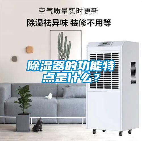 除濕器的功能特點(diǎn)是什么？