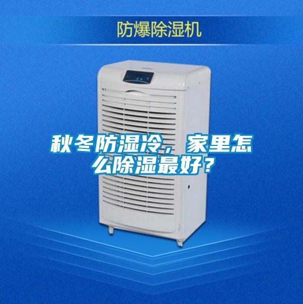 秋冬防濕冷，家里怎么除濕最好？