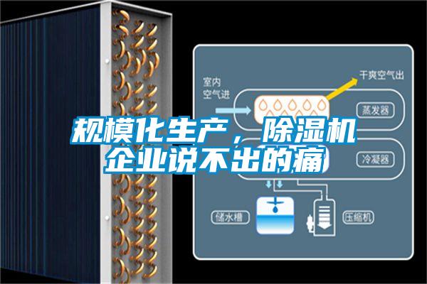 規(guī)?；a(chǎn)，除濕機(jī)企業(yè)說(shuō)不出的痛
