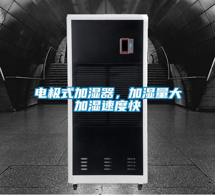 電極式加濕器，加濕量大加濕速度快