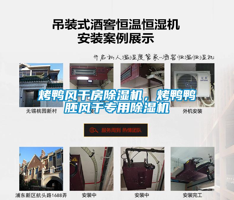 烤鴨風(fēng)干房除濕機(jī)，烤鴨鴨胚風(fēng)干專用除濕機(jī)