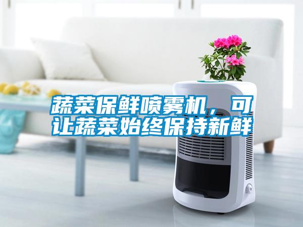 蔬菜保鮮噴霧機(jī)，可讓蔬菜始終保持新鮮