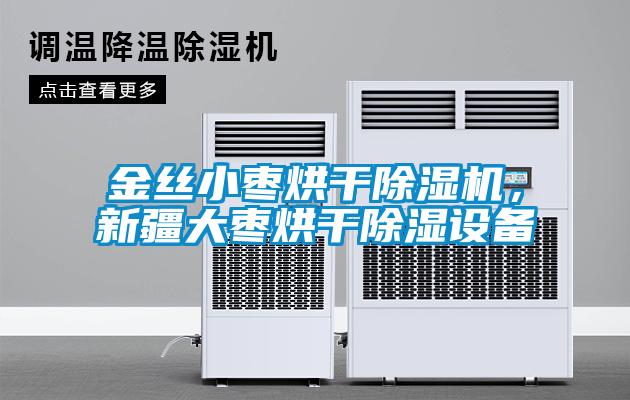 金絲小棗烘干除濕機，新疆大棗烘干除濕設備