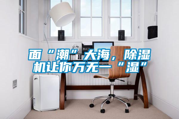 面“潮”大海，除濕機(jī)讓你萬無一“濕”