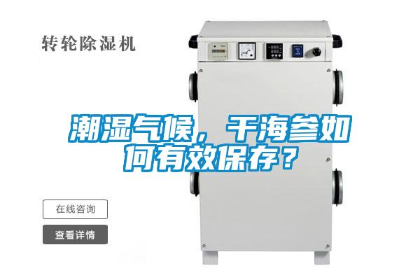潮濕氣候，干海參如何有效保存？