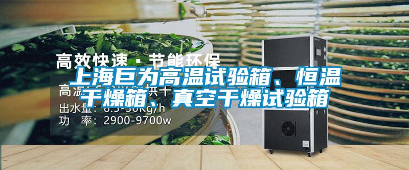 上海巨為高溫試驗箱、恒溫干燥箱、真空干燥試驗箱