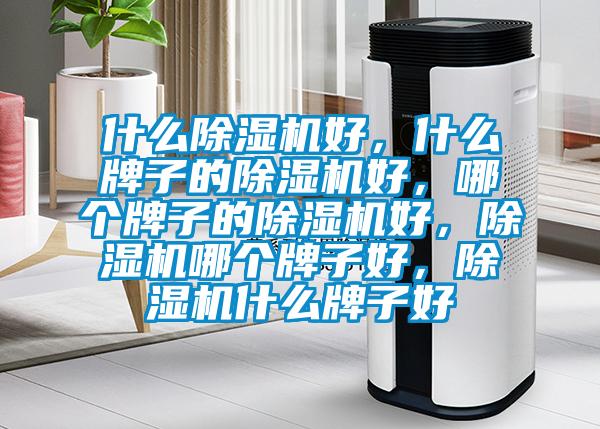 什么除濕機好，什么牌子的除濕機好，哪個牌子的除濕機好，除濕機哪個牌子好，除濕機什么牌子好