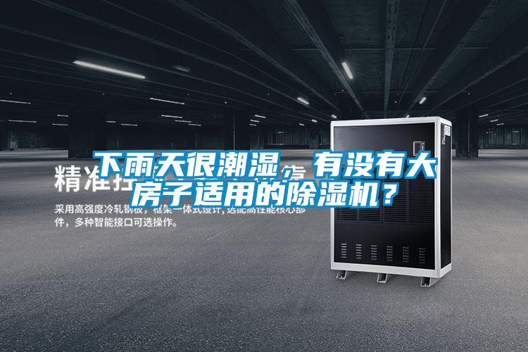 下雨天很潮濕，有沒有大房子適用的除濕機(jī)？