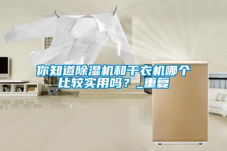 你知道除濕機(jī)和干衣機(jī)哪個(gè)比較實(shí)用嗎？_重復(fù)