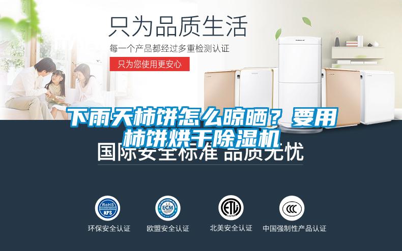下雨天柿餅怎么晾曬？要用柿餅烘干除濕機(jī)