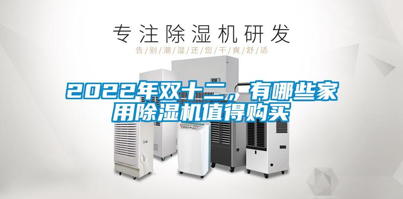 2022年雙十二，有哪些家用除濕機值得購買