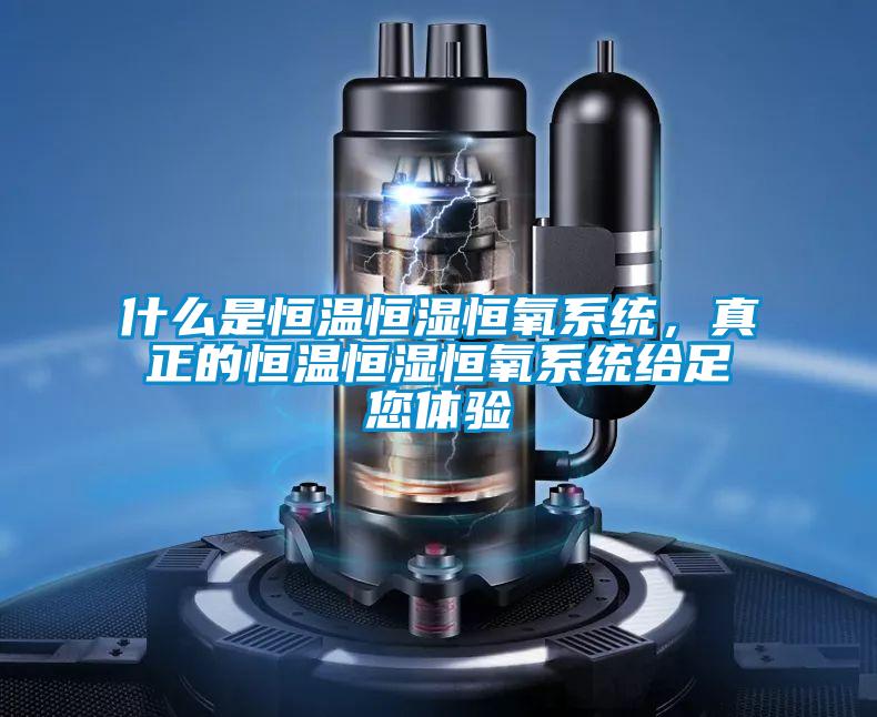 什么是恒溫恒濕恒氧系統(tǒng)，真正的恒溫恒濕恒氧系統(tǒng)給足您體驗