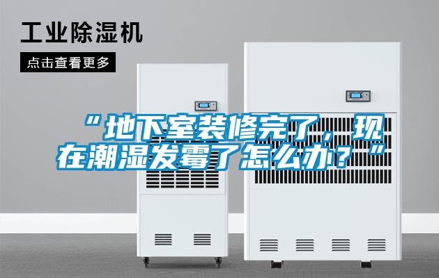 “地下室裝修完了，現(xiàn)在潮濕發(fā)霉了怎么辦？”