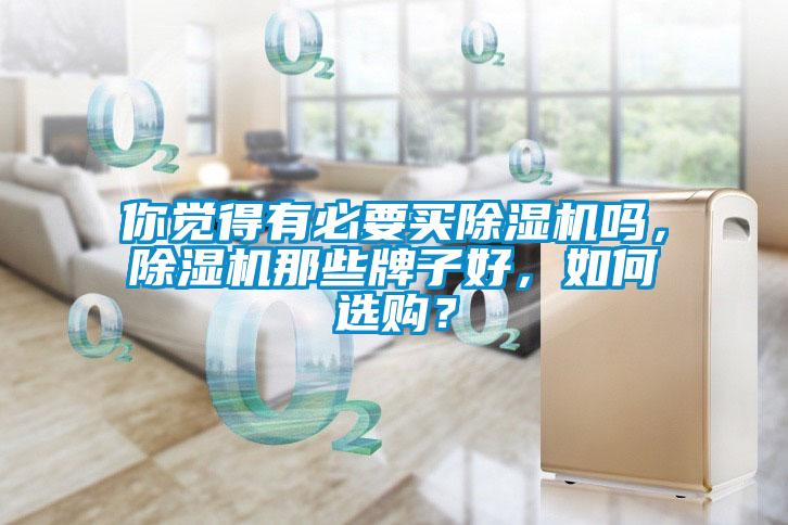 你覺得有必要買除濕機嗎，除濕機那些牌子好，如何選購？