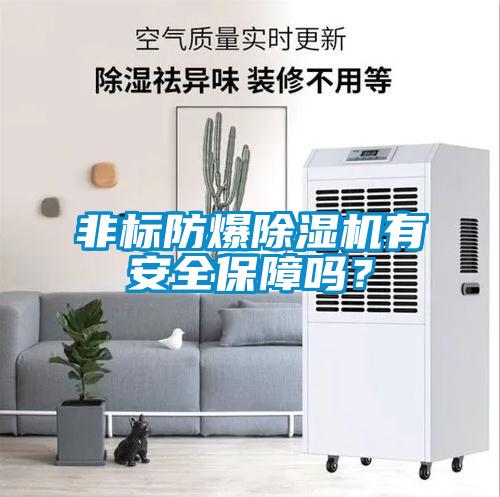 非標防爆除濕機有安全保障嗎？