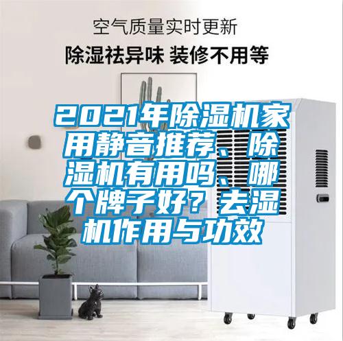 2021年除濕機家用靜音推薦、除濕機有用嗎、哪個牌子好？去濕機作用與功效