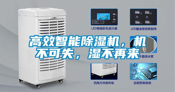 高效智能除濕機(jī)，機(jī)不可失，濕不再來(lái)