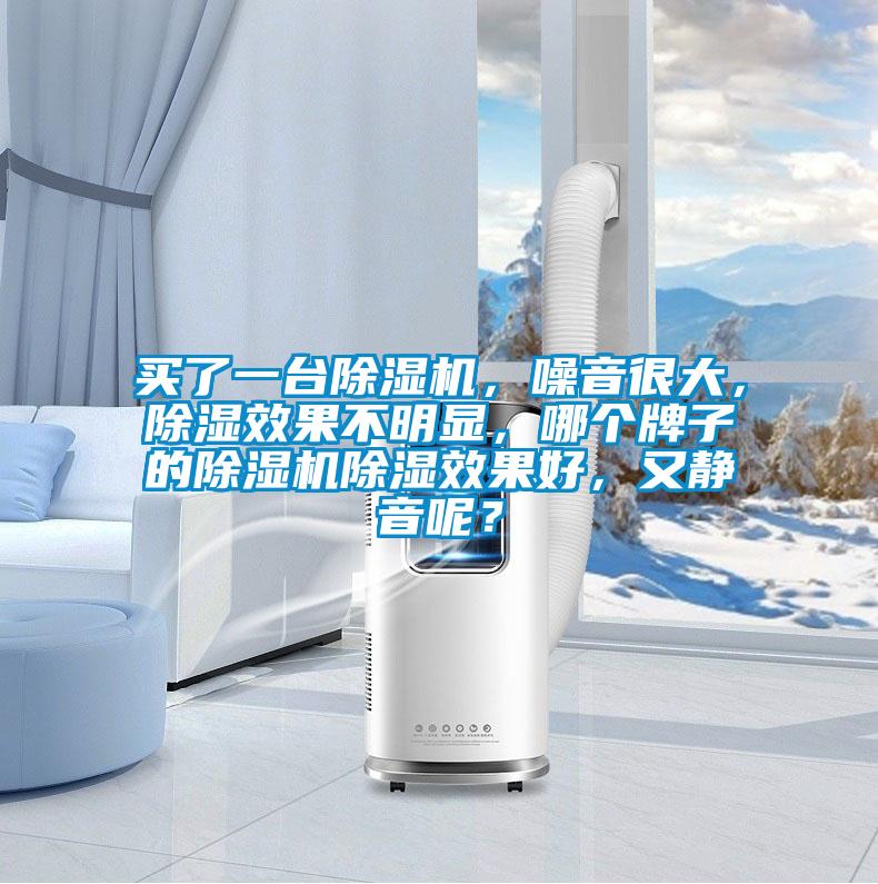 買了一臺(tái)除濕機(jī)，噪音很大，除濕效果不明顯，哪個(gè)牌子的除濕機(jī)除濕效果好，又靜音呢？