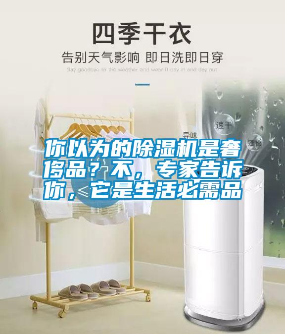 你以為的除濕機(jī)是奢侈品？不，專家告訴你，它是生活必需品