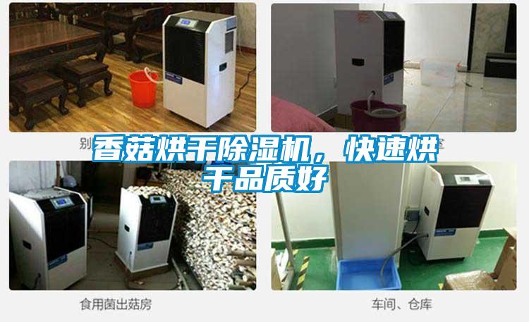 香菇烘干除濕機，快速烘干品質(zhì)好