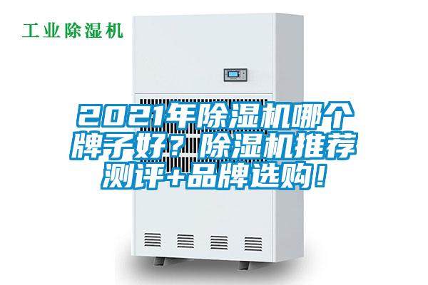 2021年除濕機哪個牌子好？除濕機推薦測評+品牌選購！