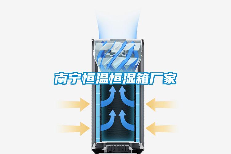 南寧恒溫恒濕箱廠(chǎng)家