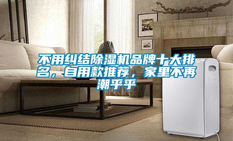不用糾結(jié)除濕機(jī)品牌十大排名，自用款推薦，家里不再潮乎乎