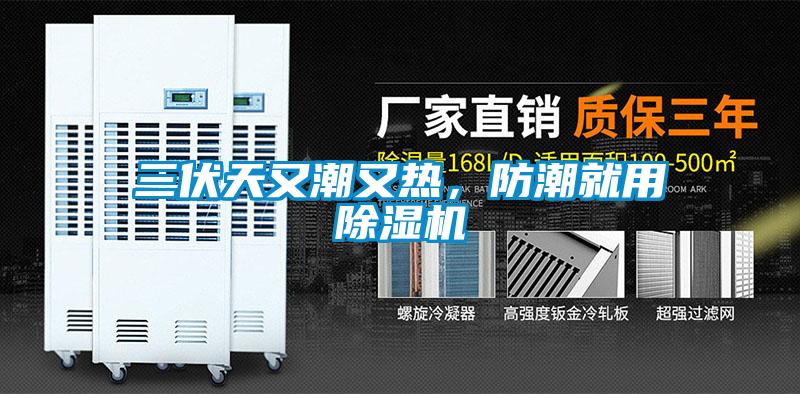 三伏天又潮又熱，防潮就用除濕機(jī)