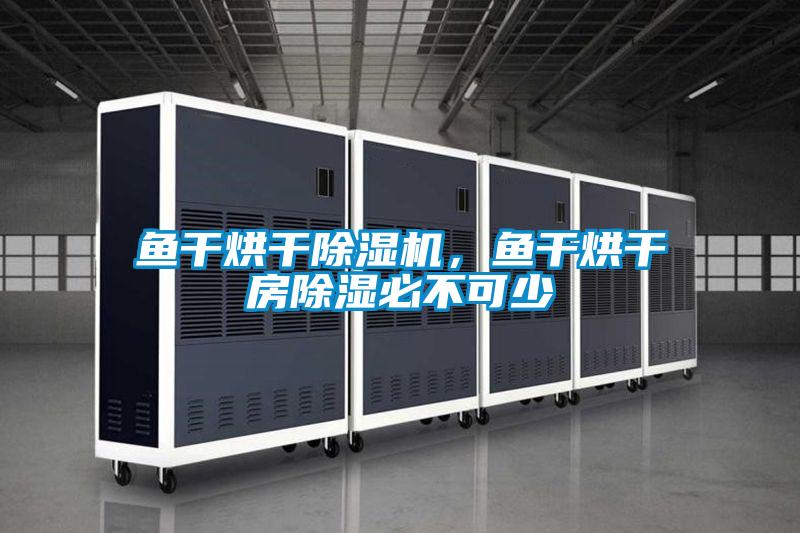魚干烘干除濕機(jī)，魚干烘干房除濕必不可少