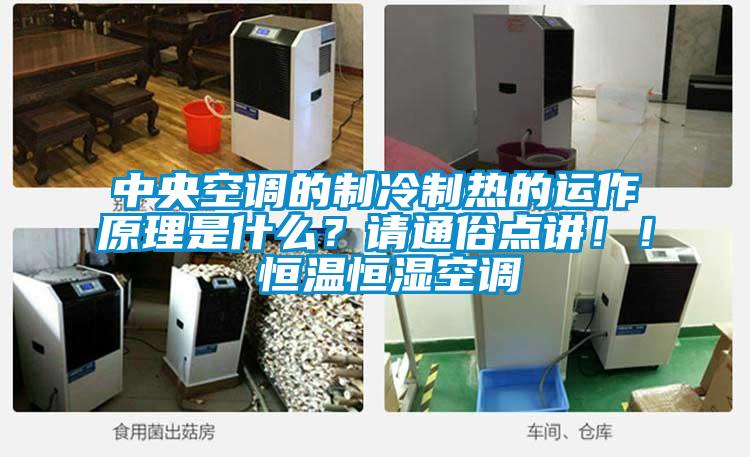 中央空調(diào)的制冷制熱的運(yùn)作原理是什么？請通俗點(diǎn)講??！ 恒溫恒濕空調(diào)